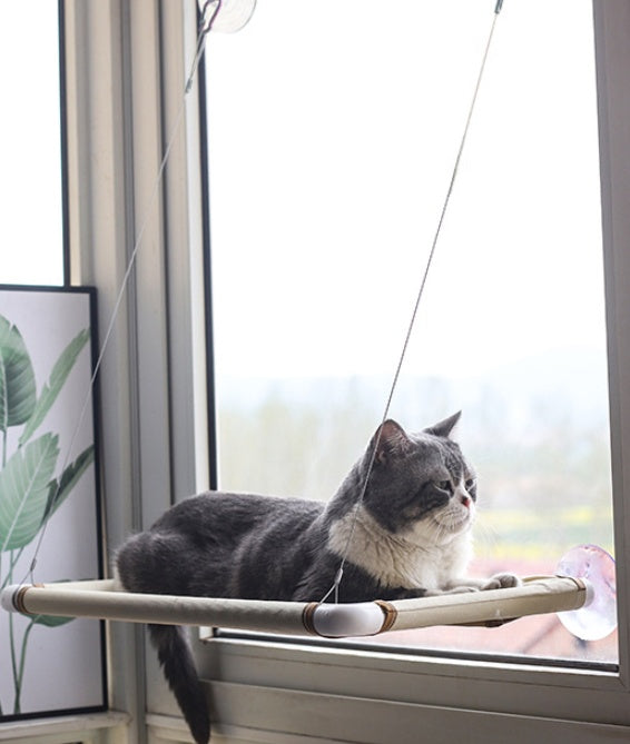 8cd6203ba8c142bc250a40f9c83c5133