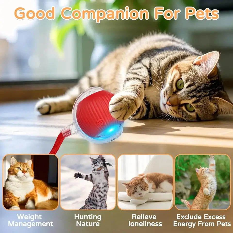 iLMH Cat Toy - view 3