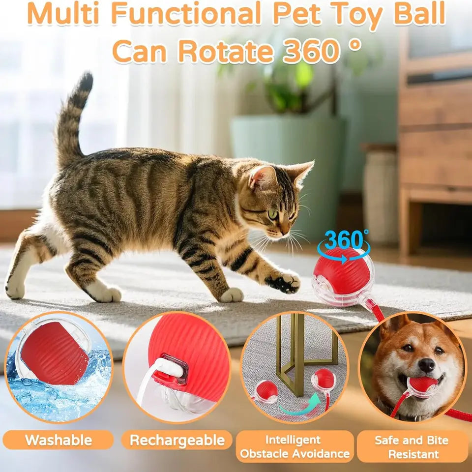 iLMH Cat Toy - view 4